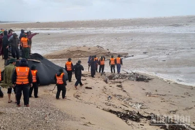 Lực lượng cứu hộ cứu nạn tập trung cứu vớt thuyền viên tàu bị chìm tại địa phận Quảng Trị. (Ảnh: Báo Nhân Dân)