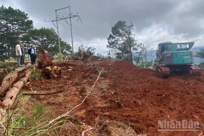Ngành đường bộ đang căng mình khắc phục hậu quả của những cơn bão liên tiếp đổ vào nước ta trong thời gian vừa qua.