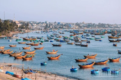 Làng chài ven biển thuộc tỉnh Lâm Đồng.