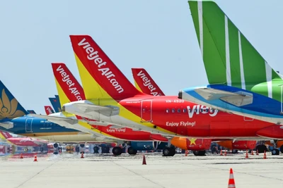 Giá nhiên liệu tăng nhanh khiến chi phí đầu vào của các hãng tăng vọt. Nếu tháng 2, giá dầu JetA1 trung bình là 89 USD/thùng thì đến nay đã vọt lên mức trên 220 USD/thùng. Do đó, hoạt động khai thác của các hãng hàng không nội địa đều đang chịu sức ép lớn từ giá nhiên liệu máy bay thế giới tăng trong thời gian ngắn.