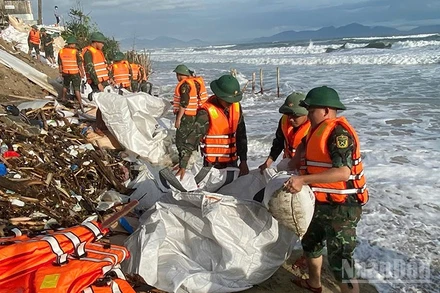 Quân khu 5 huy động gần 300 chiến sĩ xuống triển khai gia cố bờ biển sạt lở.