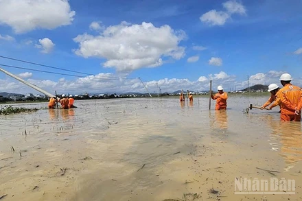 EVNCPC đã cấp điện trở lại cho 80% triệu khách hàng bị ảnh hưởng sau bão số 13.