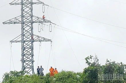 EVNCPC đã khôi phục điện cho gần 99% khách hàng miền trung sau lũ.