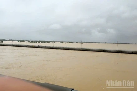 Nước sông Thu Bồn tại Câu Lâu ở mức xấp xỉ lũ lịch sử.