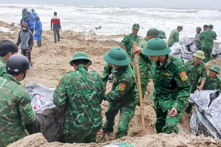 Các lực lượng hỗ trợ gia cố bờ biển Hội An.