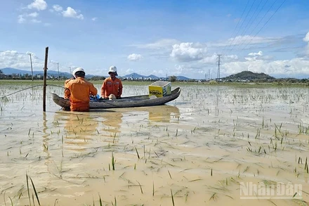 Còn hơn 553 nghìn khách hàng chưa được cấp điện trở lại do nhiều tuyến lưới và trạm biến áp bị cô lập.