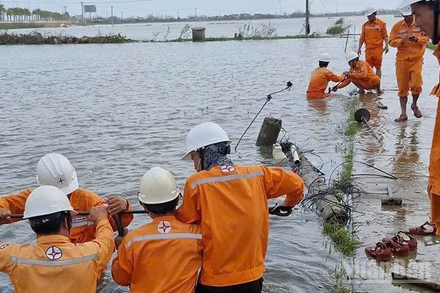 EVNCPC đã khôi phục cấp điện cho gần 1,19 triệu khách hàng bị ảnh hưởng bởi mưa, lũ.