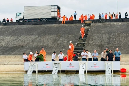 Công ty Thủy điện Sông Tranh đã thả 30.000 con cá giống gồm cá trắm cỏ và cá mè xuống lòng hồ.
