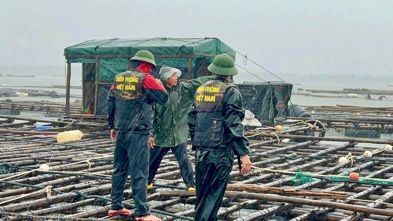 Lực lượng Bộ đội Biên phòng giúp người dân gia cố, chằng buộc phương tiện tránh, trú bão. (Ảnh: NGUYỄN KHÁNH) img-7244-5817.jpg