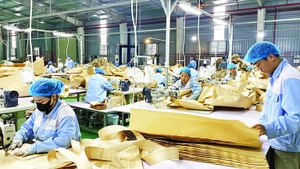 Công ty TNHH Korea Bag sản xuất bao bì xuất khẩu tại Cụm công nghiệp Phúc Ứng, huyện Sơn Dương.