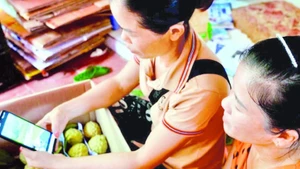 Nông dân Lạng Sơn bán na qua sàn thương mại điện tử.