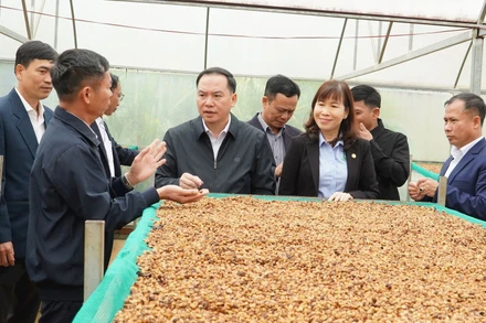 Phó Bí thư Tỉnh ủy Hồ Xuân Trường đề nghị, huyện Đắk Song cần phát huy thế mạnh của địa phương, để tạo động lực phát triển.