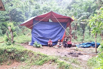 Lán tạm nơi sinh sống ông Thông và chị Minh trước khi xảy ra sự việc.