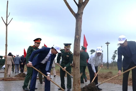 Các đồng chí lãnh đạo tỉnh Quảng Bình trồng cây đầu xuân Ất Tỵ 2025.