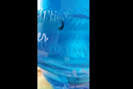 "Di vật" nghi là con đỉa trong bình nước còn nguyên tem ở Trường mầm non Phong Thủy.