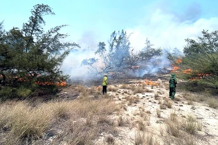 Lực lượng chức năng của huyện Quảng Ninh nỗ lực dập lửa giữa trưa nắng nóng gay gắt