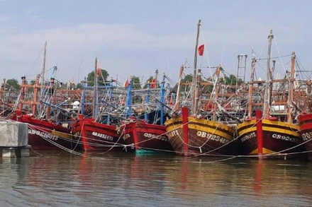 Tàu thuyền của ngư dân Quảng Bình neo đậu tránh trú bão ở Khu neo đậu sông Gianh.