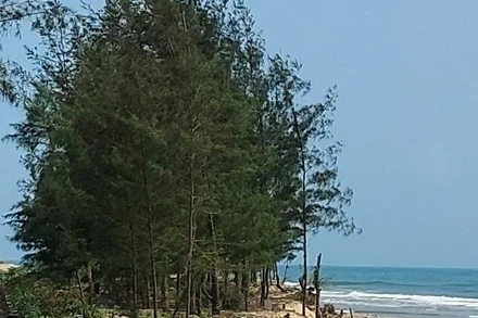 Một đoạn bờ biển phường Quảng Phúc sẽ được xây dựng kè để chống sạt lở.