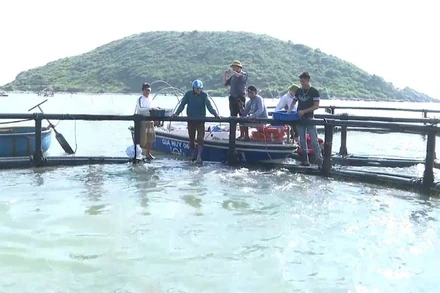 Vùng nuôi cá đặc sản ở Vũng Chùa-Đảo Yến, xã Quảng Đông, huyện Quảng Trạch, tỉnh Quảng Bình