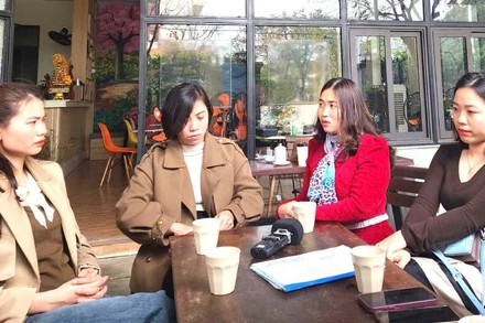 Các đội viên thuộc Đề án 500 trí thức trẻ” tại Quảng Bình lo lắng trước nguy cơ mất việc khi địa phương sắp xếp lại đơn vị hành chính 2 cấp.