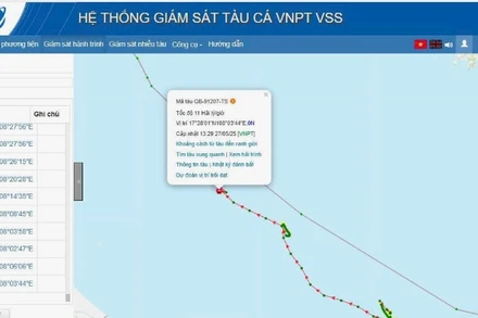 Vị trí ngư dân trên tàu cá Quảng Bình bị rơi xuống biển, mất tích.