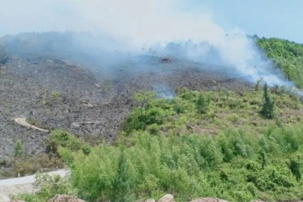 Hiện trường vụ cháy rừng ở Quảng Đông