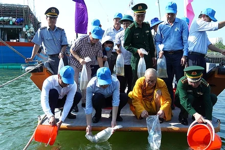 Đại diện lãnh đạo tỉnh Quảng Bình và các đại biểu thả các loại giống thủy sản xuống sông Nhật Lệ. (Ảnh: HƯƠNG GIANG)