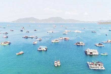  Nuôi cá lồng bè ở ấp Bãi Chướng, xã Hòn Nghệ, huyện Kiên Lương.