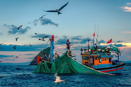 Nỗ lực "vượt rào" của ngành thủy sản 