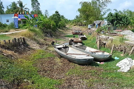Kênh, rạch vùng ngọt huyện Trần Văn Thời (tỉnh Cà Mau) cạn khô vì nắng hạn.