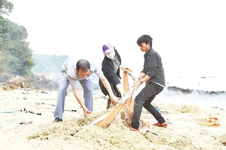Người dân Cô Tô tham gia thu gom rác làm sạch bãi biển.