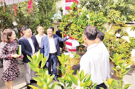 Ban Giám khảo trao đổi, thảo luận để tìm ra những tác phẩm xuất sắc trong Hội thi quất cảnh truyền thống Hà Nội 2024.