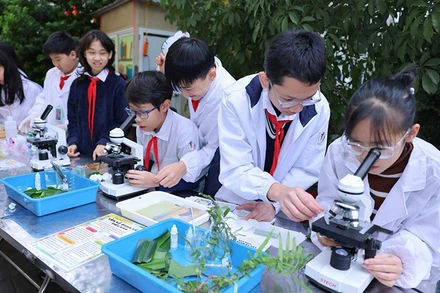 Học sinh Trường THCS Ngô Sĩ Liên (quận Hoàn Kiếm, Hà Nội) trong ngày hội STEM 2024.