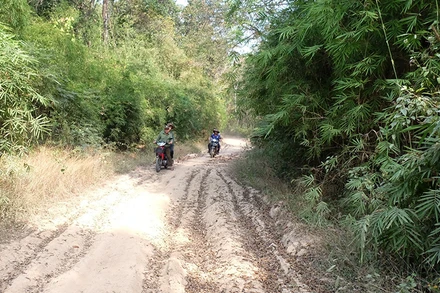 Nhân viên Ban Quản lý rừng phòng hộ Đắk Mai tuần tra bảo vệ rừng.