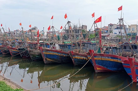 Tàu thuyền của ngư dân huyện Thái Thụy, tỉnh Thái Bình vào nơi tránh trú an toàn. (Ảnh MAI TÚ)