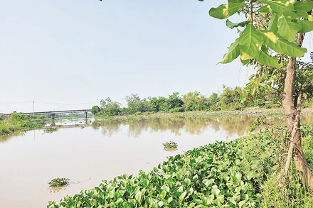 Sông Đầm được xem như “lá phổi” của thành phố Tam Kỳ.