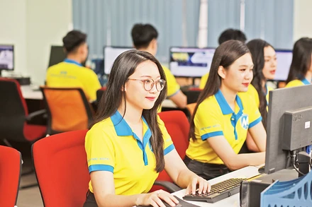 Sinh viên Trường đại học Tài chính-Marketing trong giờ thực hành.