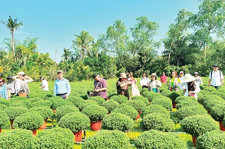 Bến Tre đang mời gọi đầu tư phát triển du lịch tại vùng sản xuất hoa kiểng Chợ Lách.