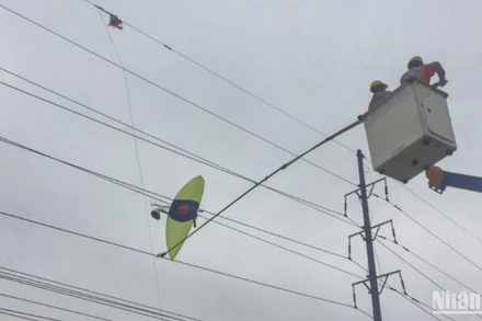 Công nhân ngành điện lực Thái Bình đang xử lý một chiếc diều lớn mắc vào đường dây điện.