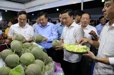 Các đại biểu tham quan gian hàng bày bán sản phẩm dưa lưới. (Ảnh: Mai Tú)