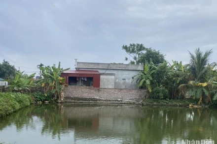 Một trường hợp xây nhà trái phép trên đất nông nghiệp tại xã Thụy Sơn (Thái Thụy, Thái Bình).