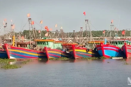 Tàu thuyền của ngư dân ven biển huyện Tiền Hải, tỉnh Thái Bình vào khu neo đậu, tránh bão số 1.