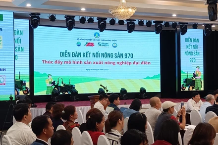 Hơn 200 đại biểu tham dự Diễn đàn tại đầu cầu tỉnh Thái Bình.