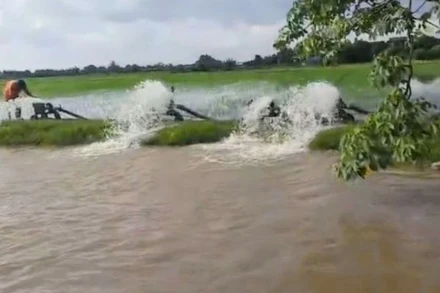 Tiêu úng cứu lúa ở xã Hiệp Hòa, huyện Vũ Thư, tỉnh Thái Bình. (Ảnh: Đài Phát thanh và Truyền hình huyện Vũ Thư cung cấp)