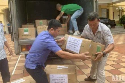 Hiệp hội Thương mại Giống cây trồng Việt Nam hỗ trợ tỉnh Thái Bình 290kg hạt giống giúp khôi phục sản xuất sau bão số 3.