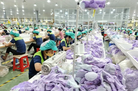 Số doanh nghiệp tăng nhanh tạo thêm nhiều việc làm cho người lao động vùng nông thôn tỉnh Thái Bình (Ảnh: Mai Tú)