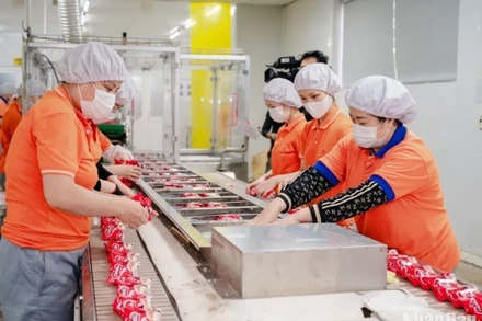 Hoạt động của các doanh nghiệp lớn như Công ty cổ phần Quốc tế Bảo Hưng có bước tăng trưởng khá và ổn định.