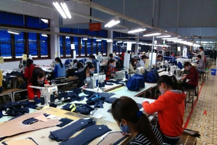 2 năm liền tỉnh Thái Bình đạt con số thành lập mới hơn 1.000 doanh nghiệp mỗi năm.