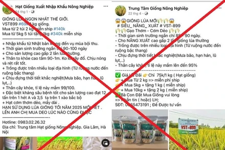Các đối tượng rao bán lúa giống VST-899 trên các trang mạng xã hội. (Ảnh Công an cung cấp)
