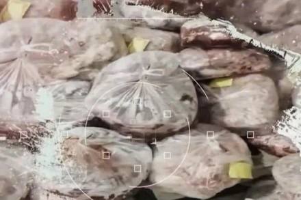 Nguyên liệu làm xúc xích của Công ty trách nhiệm hữu hạn thực phẩm Bảo An T&V (thành phố Thái Bình) được phương tiện thông tin đại chúng phản ánh và cho rằng không bảo đảm an toàn thực phẩm. (Ảnh cắt từ clip)